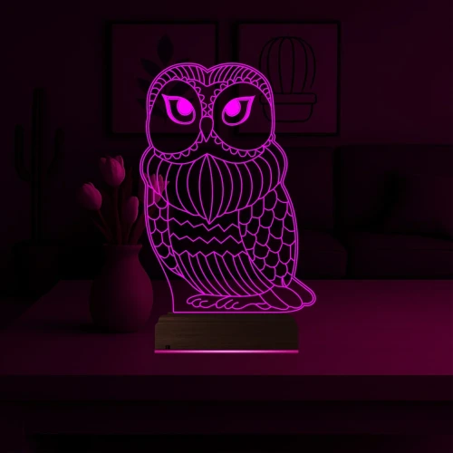 Baykuş Tasarım 3D Lamba - Masa Gece Lambası