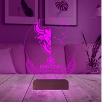 Crypto Binance Bnb Coin Kripto Finans 3D Lamba - Masa Gece Lambası