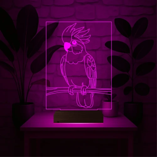 Kakadu Papağan Pet Shop 3D Lamba - Masa Gece Lambası