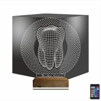 Diş Hekimi Hediye Kişiye Özel 3D Lamba - Masa Gece Lambası