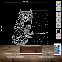 Baykuş Kuş Tasarım Kişiye Özel 3D Lamba - Masa Gece Lambası Baykuş Kuş Tasarım Kişiye Özel 3D Lamba - Masa Gece Lambası