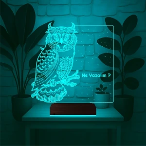 Baykuş Kuş Tasarım Kişiye Özel 3D Lamba - Masa Gece Lambası