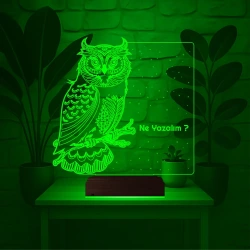 Baykuş Kuş Tasarım Kişiye Özel 3D Lamba - Masa Gece Lambası Baykuş Kuş Tasarım Kişiye Özel 3D Lamba - Masa Gece Lambası